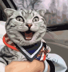 IMG_2545.GIF IMG_2545.GIF