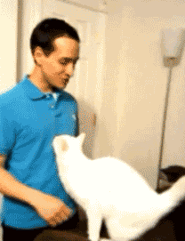 IMG_2548.GIF IMG_2548.GIF