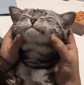 IMG_2550.GIF IMG_2550.GIF