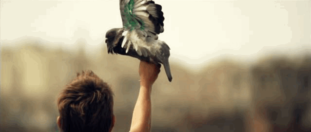 IMG_3135.GIF