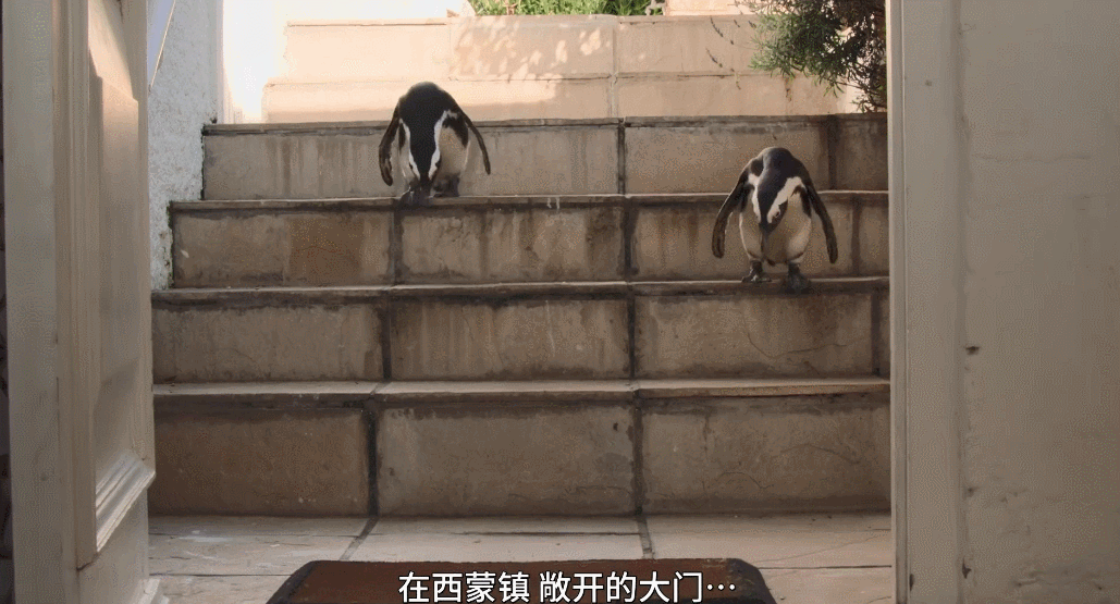 IMG_4697.GIF