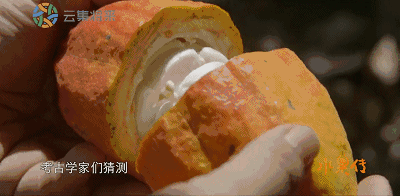 IMG_5282.GIF IMG_5282.GIF