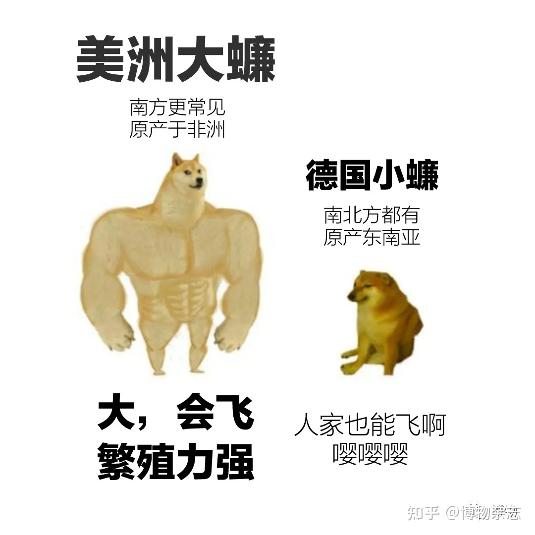 IMG_5288.JPG IMG_5288.JPG