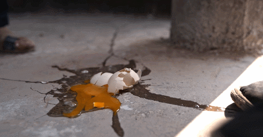 IMG_7750.GIF