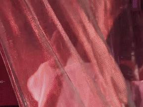 IMG_8633.GIF