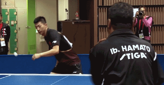 IMG_1309.GIF