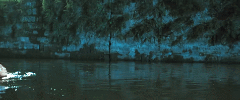 IMG_3279.GIF