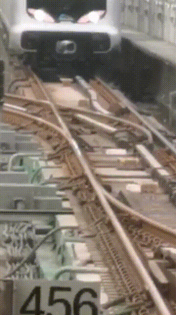 IMG_3639.GIF IMG_3639.GIF