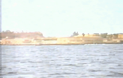 IMG_4810.GIF