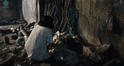 IMG_1583.GIF