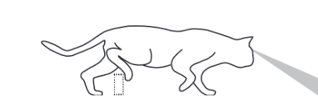 IMG_2841.PNG