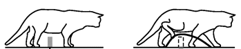 IMG_2837.PNG