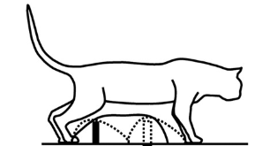 IMG_2843.PNG