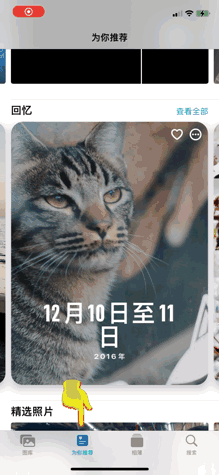 IMG_4204.GIF