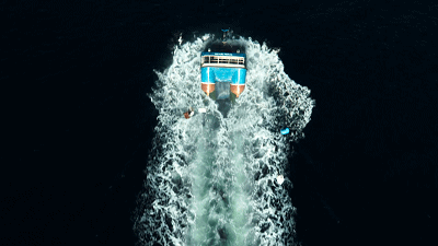 IMG_4302.GIF