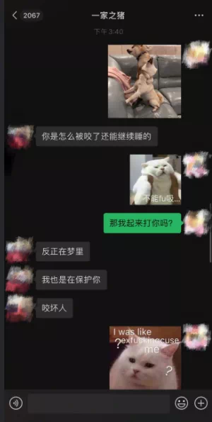 IMG_7910.PNG