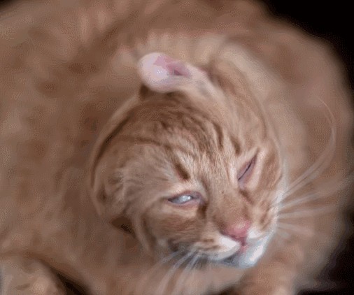 IMG_4515.GIF IMG_4515.GIF