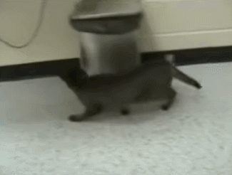 IMG_4532.GIF IMG_4532.GIF