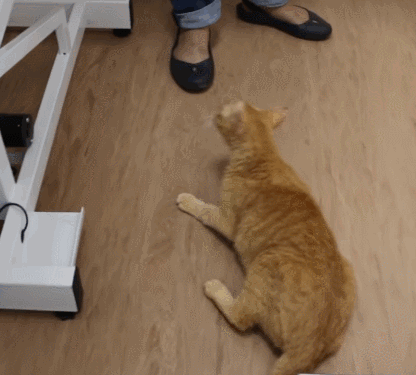 IMG_4528.GIF IMG_4528.GIF