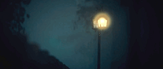 IMG_6155.GIF