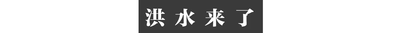 IMG_7307.PNG