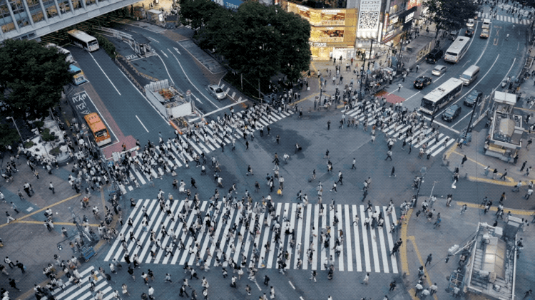 IMG_6880.GIF