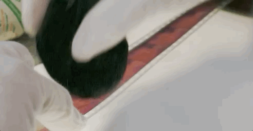 IMG_8397.GIF