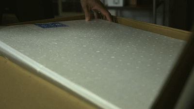 IMG_0247.GIF