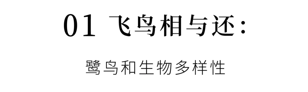 IMG_0606.PNG