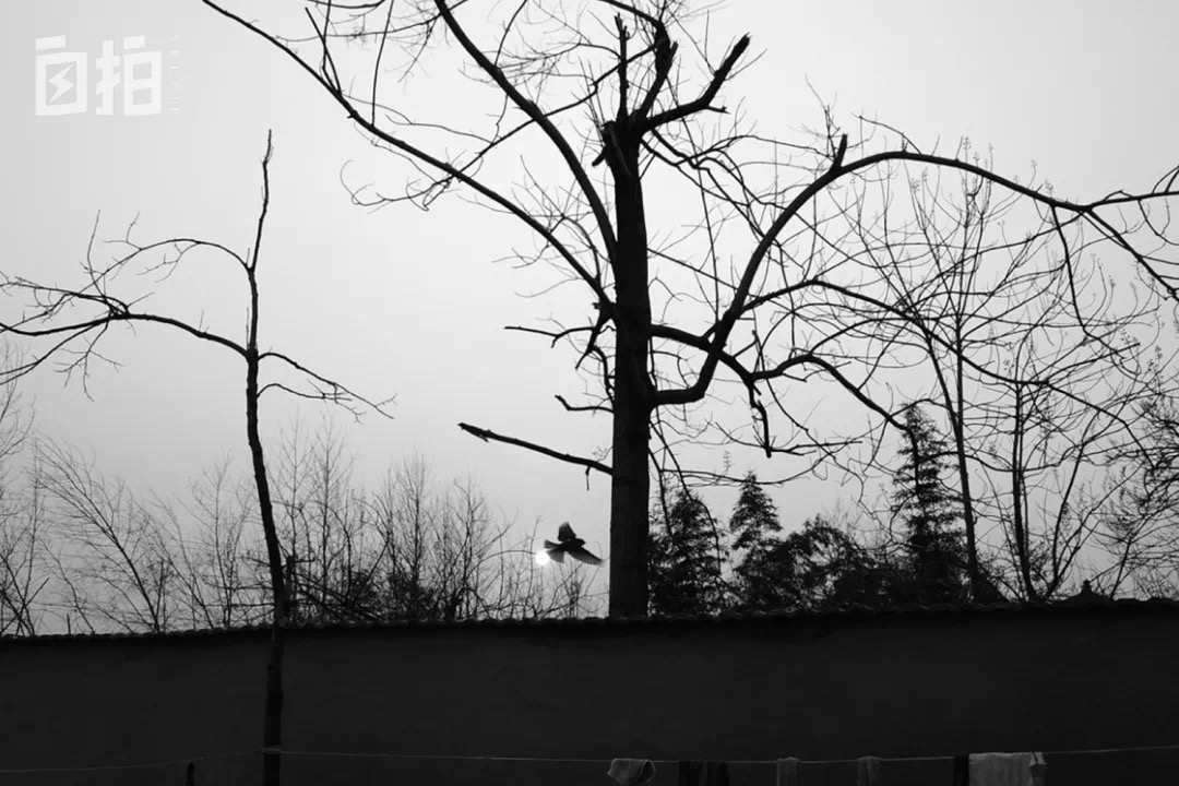 IMG_8175.JPG