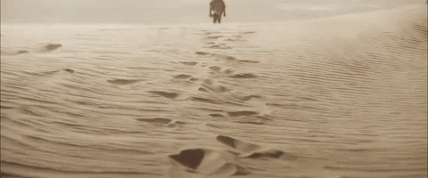 IMG_1252.GIF