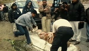 IMG_4106.GIF