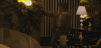 2.gif