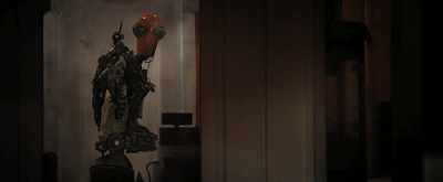 IMG_6987.GIF