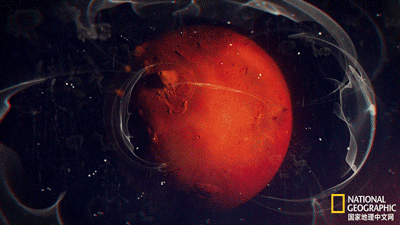 IMG_1559.GIF