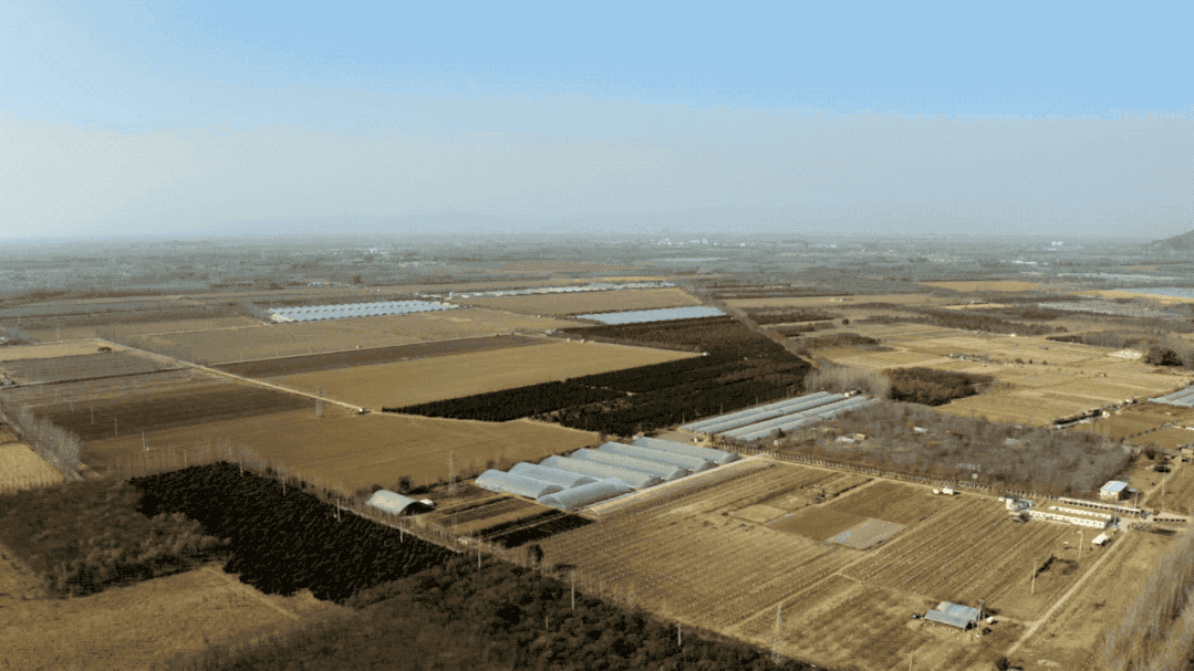 IMG_7546.GIF