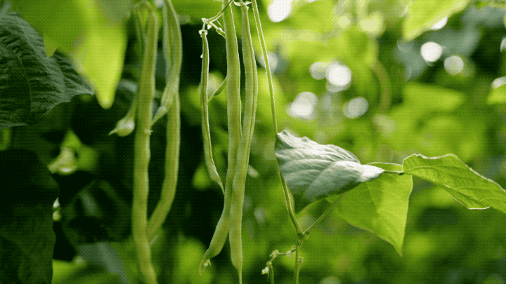 IMG_7561.GIF