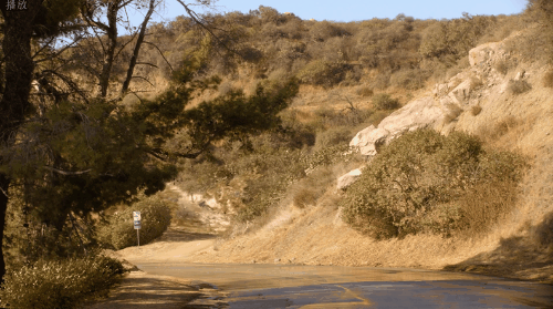 IMG_7890.GIF