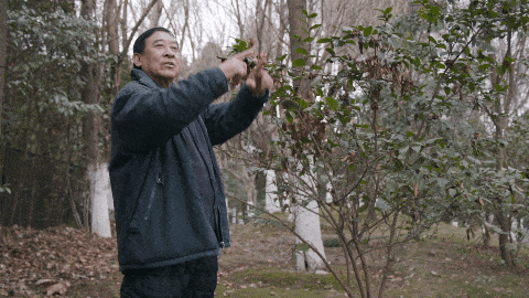 IMG_8540.GIF