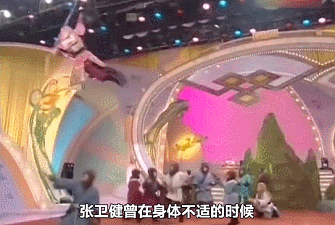 IMG_8717.GIF