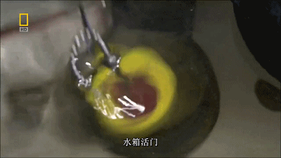 IMG_9557.GIF