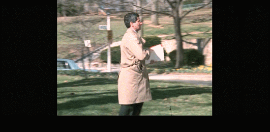 IMG_1340.GIF