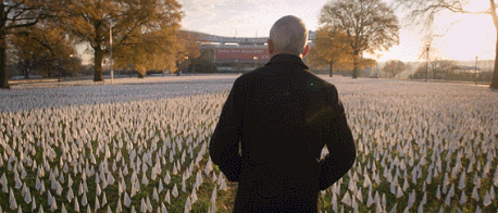 IMG_1384.GIF