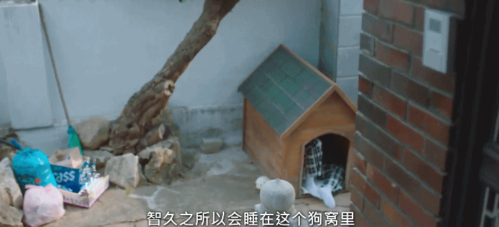 IMG_3914.GIF