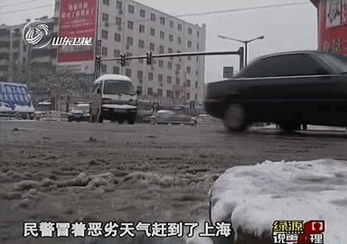 IMG_4850.GIF