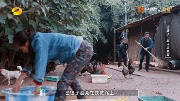 IMG_8089.GIF