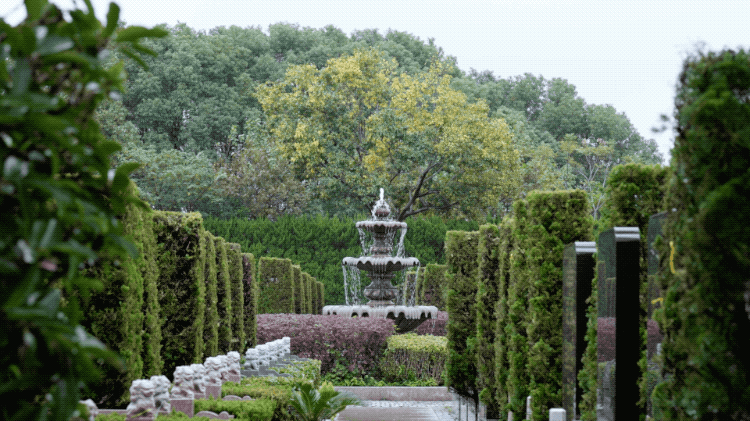 IMG_8376.GIF