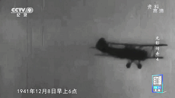 IMG_8563.GIF