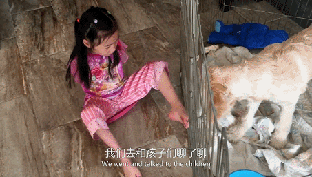 IMG_7033.GIF