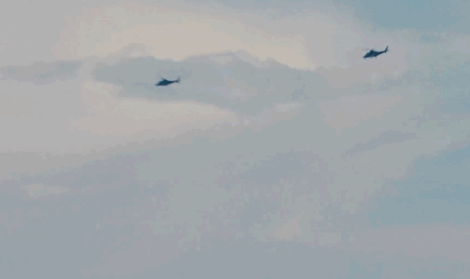 IMG_0737.GIF